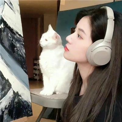 林中窥目 在线观看封面