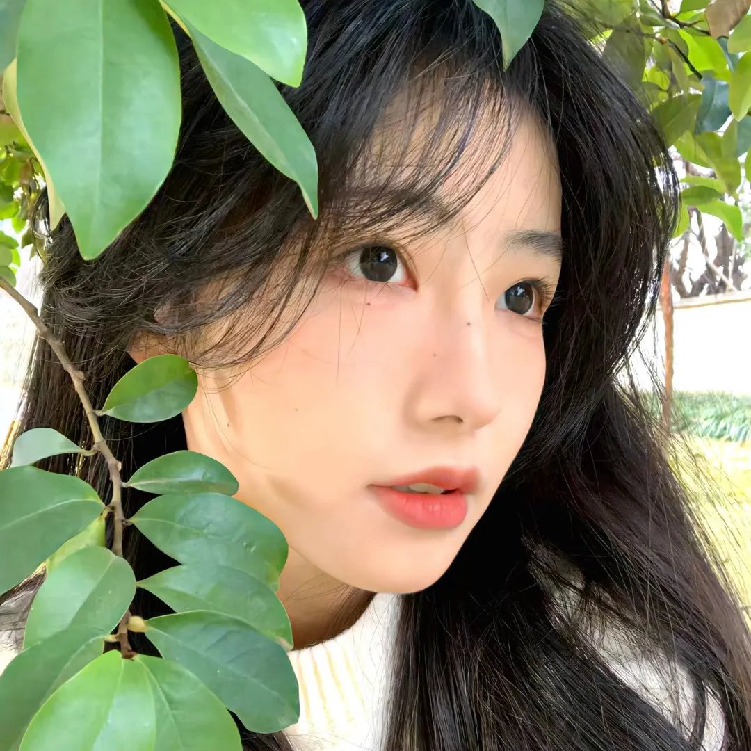 少女救地球 在线观看封面