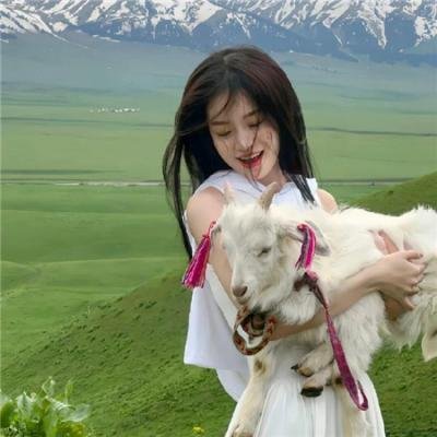 全歼德寇于莫斯科城下 在线观看封面